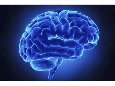 永葆大腦年輕的十個方法