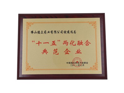“十一五”兩化融合典範企業